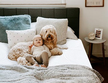 Mattress Review-Sunrising Bedding